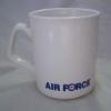 A Picture of Air Force 2